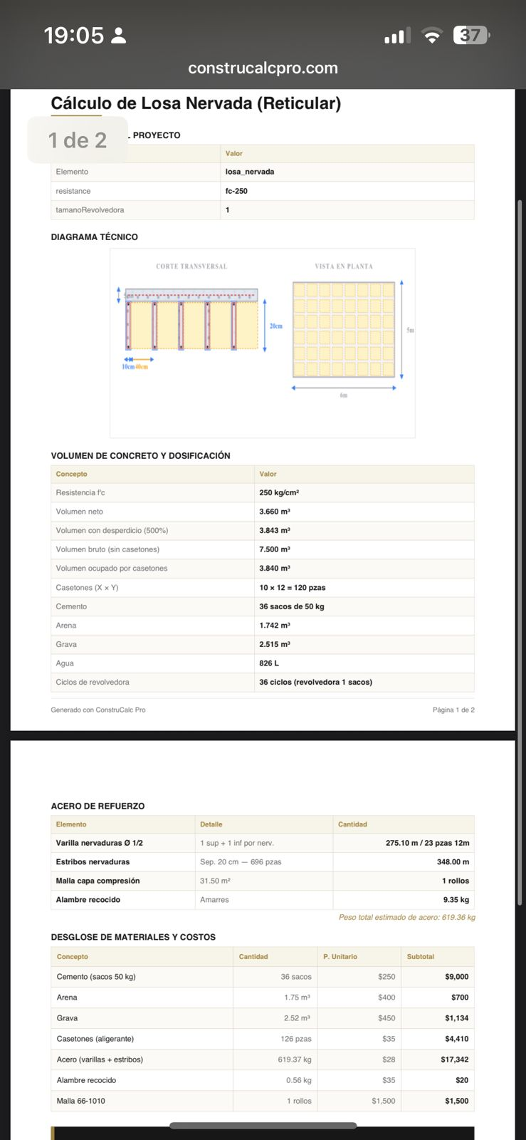 PDF generado con desglose de materiales, acero y costos